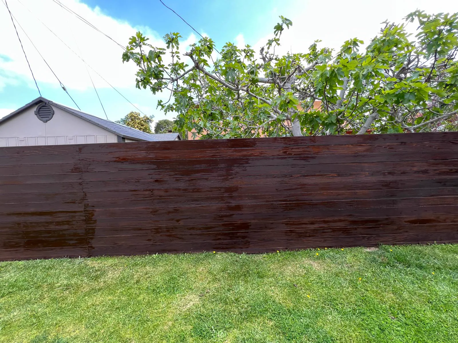 A further run of the same fence after restaining
